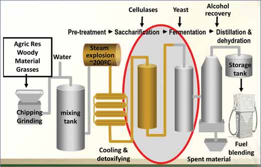 Ethanol_production_from_ligno-cellulose_fibrous_plant_biomass.jpg