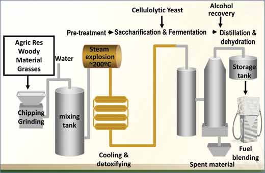 Ethanol_production_from_ligno-cellulose_mascoma_process.jpg